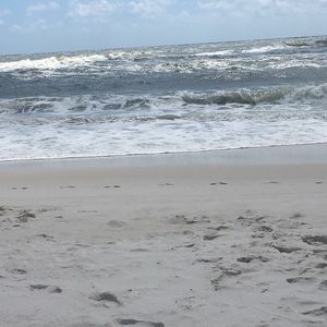 Meet your Posher, Holleigh